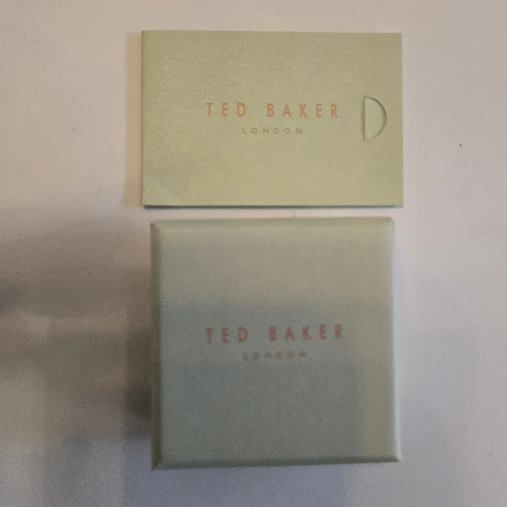 Ted Baker Silver Sinaa Earrings - Picture 4 of 4